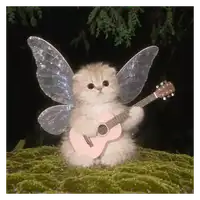 Fairy Guitar Kitten WhatsApp sticker