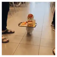 Fast Food Fail Cat WhatsApp sticker