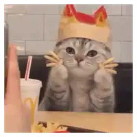French Fry King Cat WhatsApp sticker