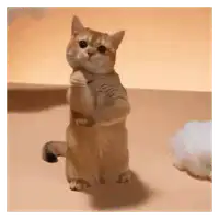 Hmm Thinking Cat WhatsApp sticker