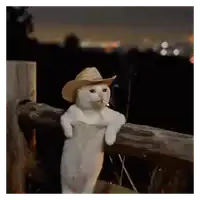Lonely Cowboy Cat WhatsApp sticker