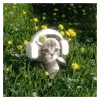 Vibing Headphones Kitten WhatsApp sticker
